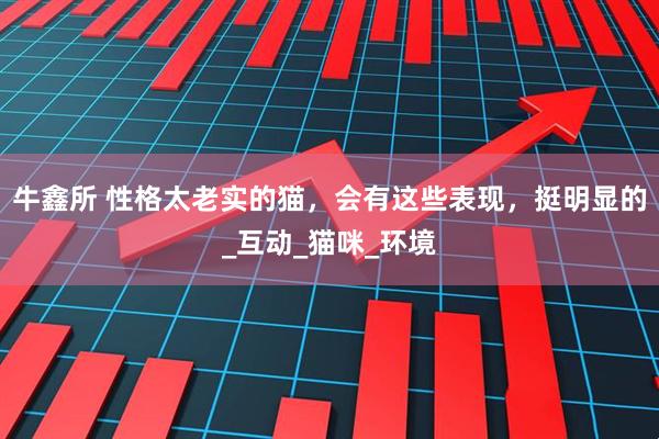 牛鑫所 性格太老实的猫，会有这些表现，挺明显的_互动_猫咪_环境