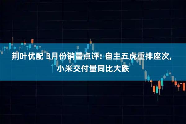 荆叶优配 3月份销量点评: 自主五虎重排座次, 小米交付量同比大跌