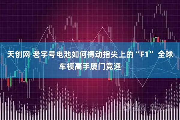 天创网 老字号电池如何搏动指尖上的“F1” 全球车模高手厦门竞速